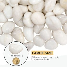 38LBS Large White River Rocks 2-3 Inch - Natural Polished Pebbles for Landscaping, Garden Decor, Aquariums, Decorative Stones for Pathways, Plant